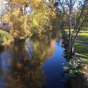 Meet your Posher, Kathy